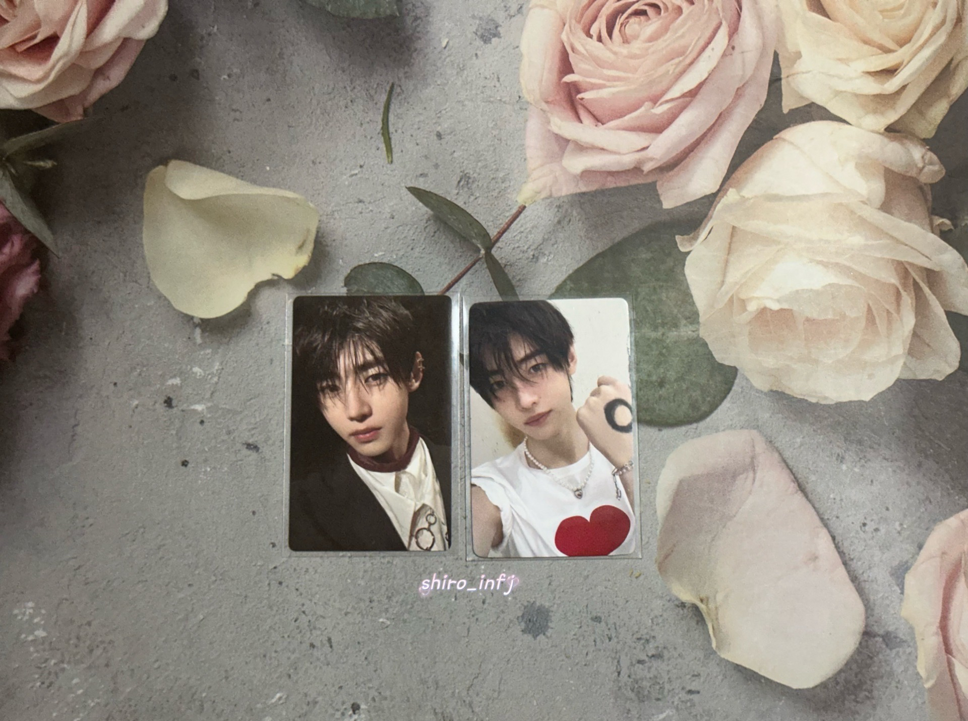 ENHYPEN 日咖特典卡 ⋆ 韓專卡｜成訓｜…