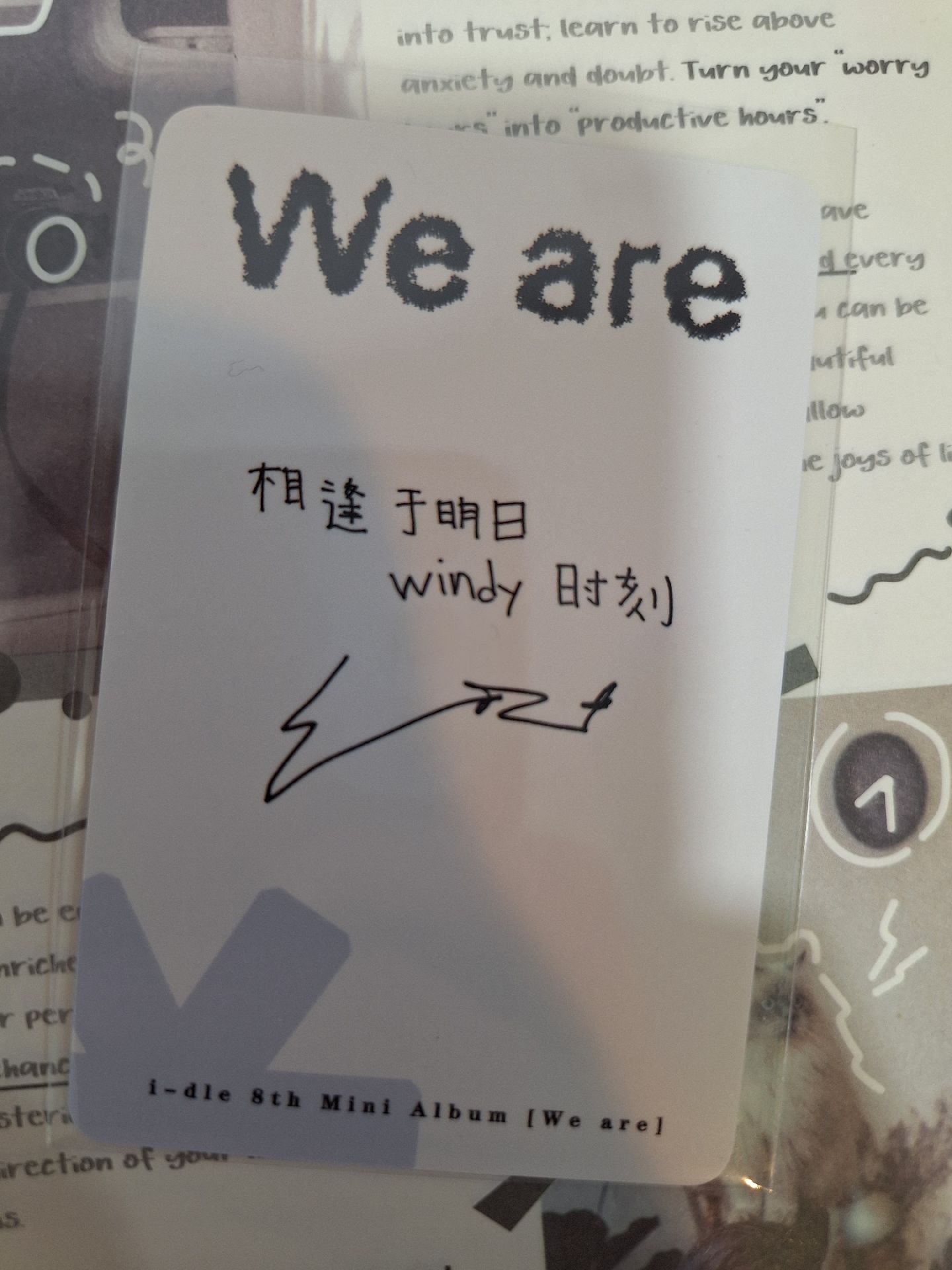 泡泡摩奇娟 中背（有兩款）