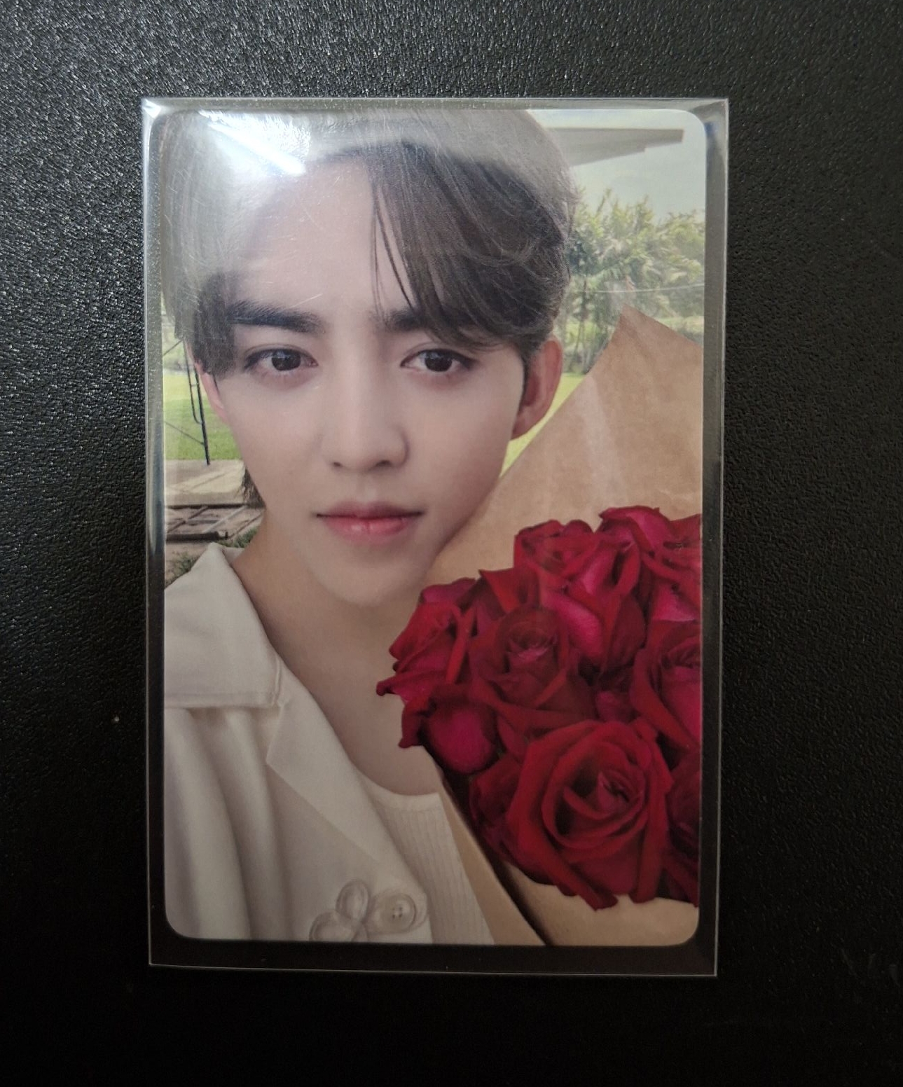 哲Mini12上海線下簽售卡