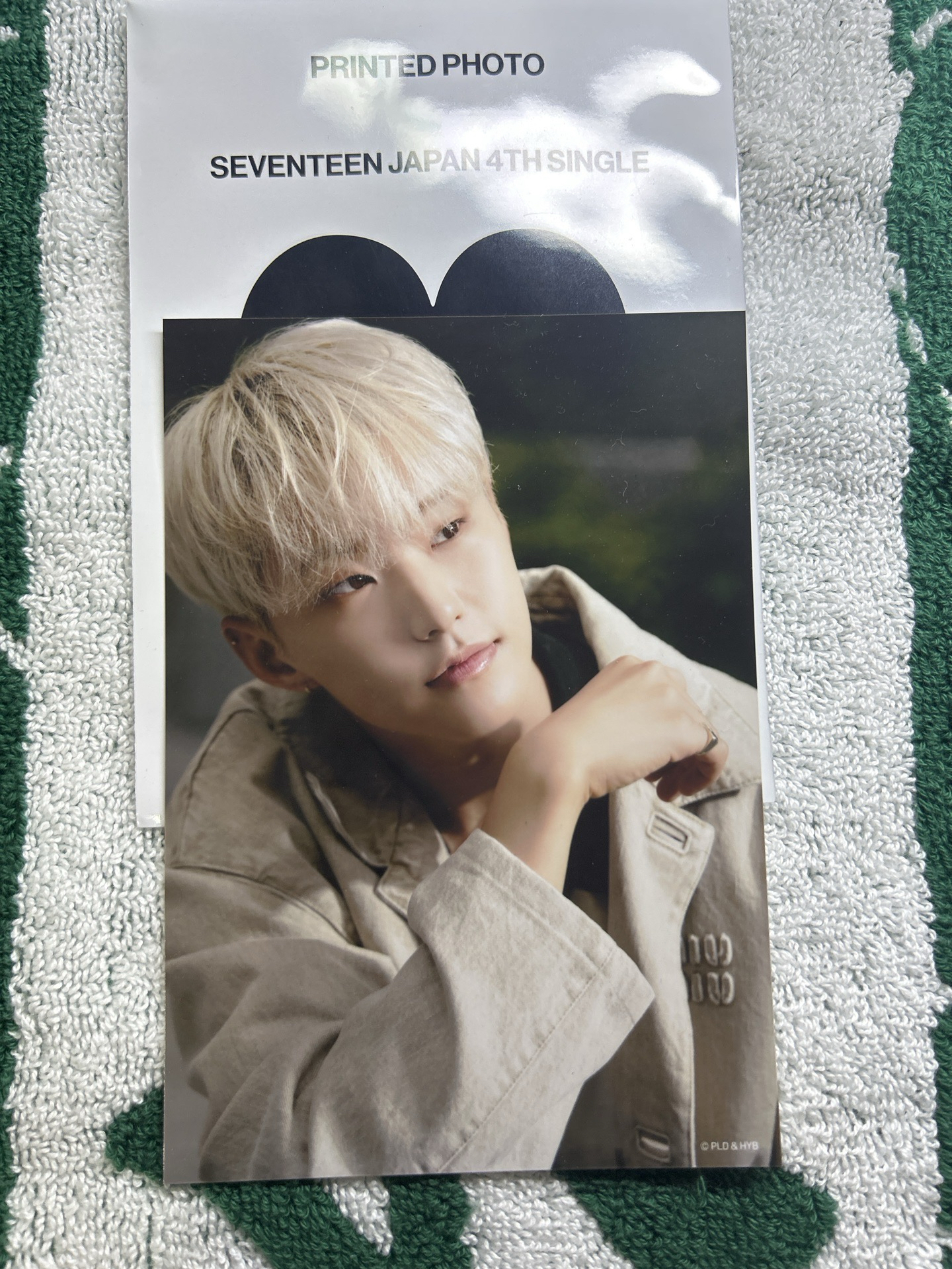 SEVENTEEN 消費期限生寫-Hoshi