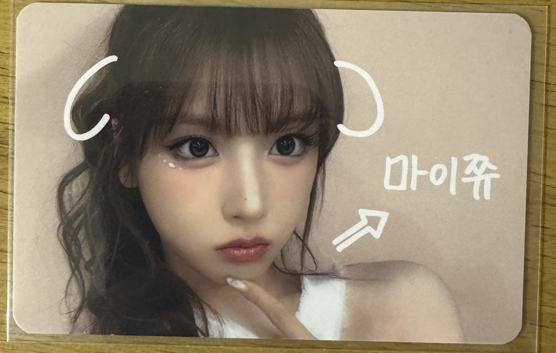 ms5.0寵物鏡頭友