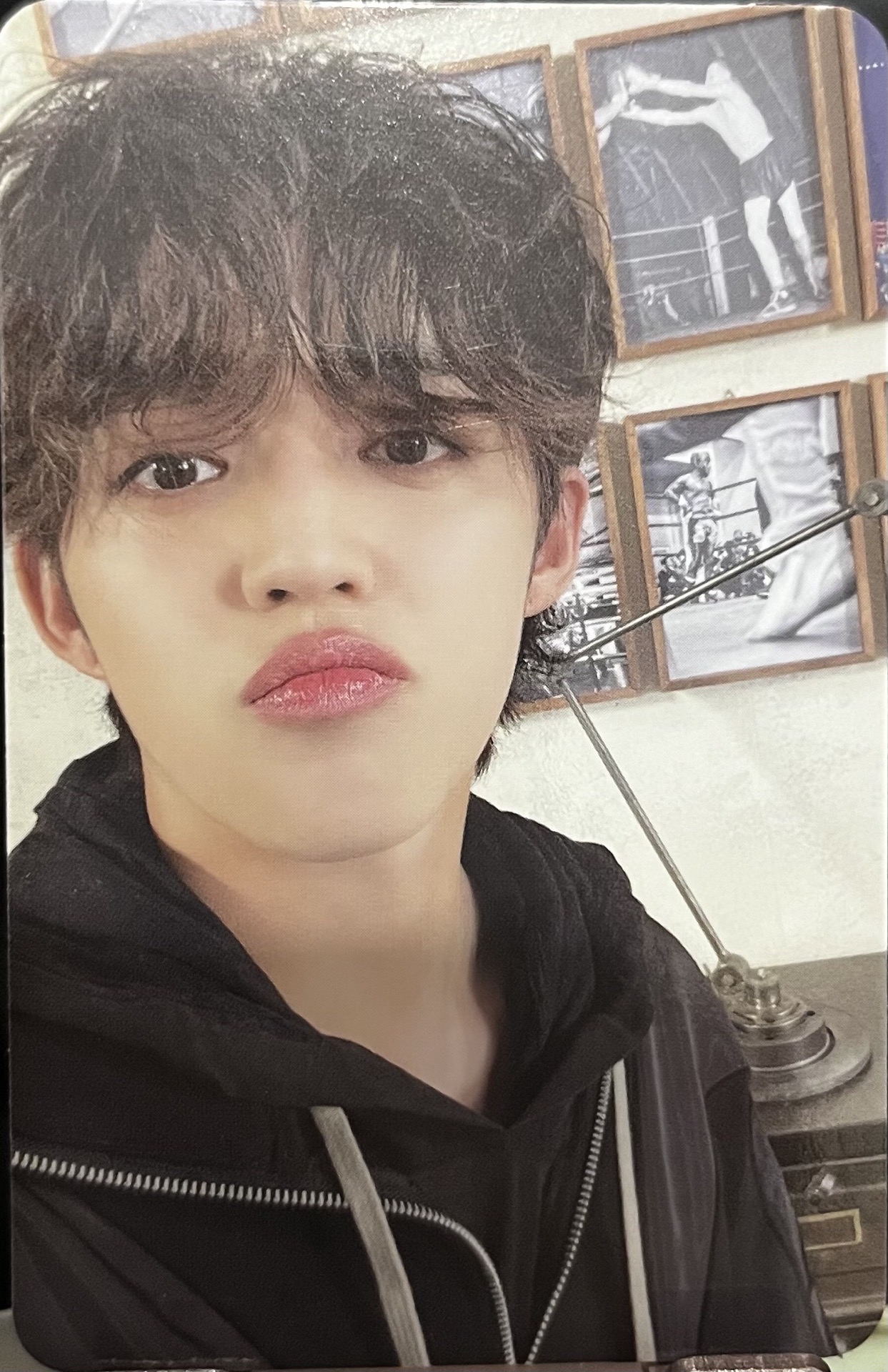 SEVENTEEN 迷10 哲 Shopee LD