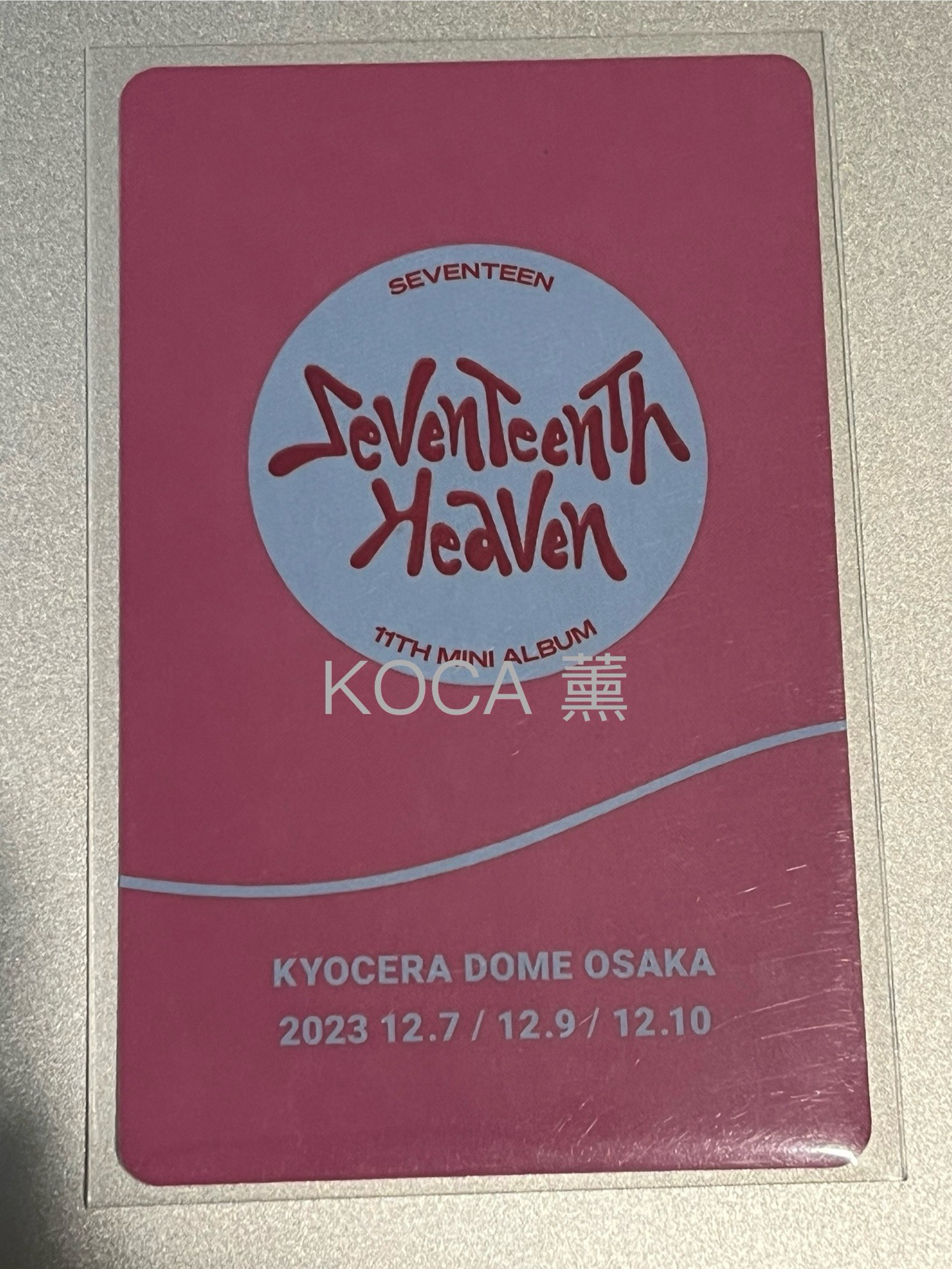 藍衣咬花碩 大阪場限