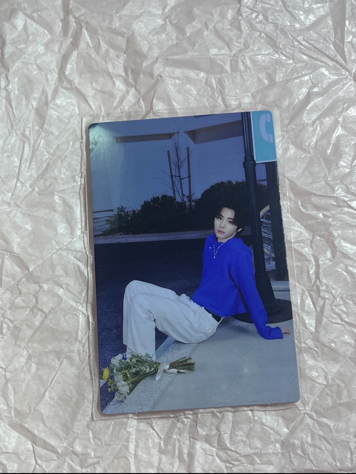 TAESAN 24fm隨機卡