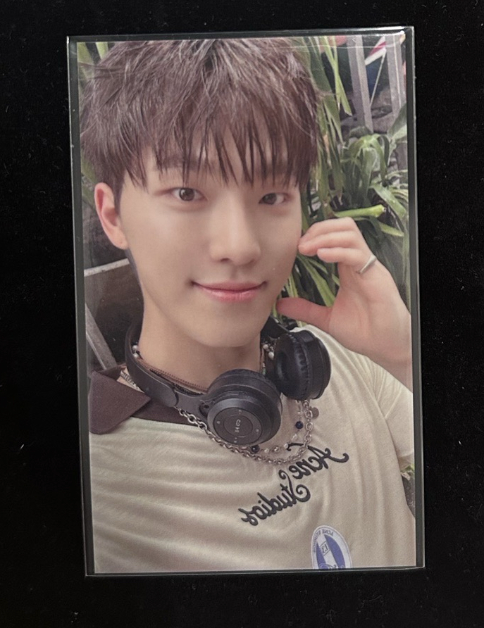 🌼seventeen 環球福岡卡 Dino 燦