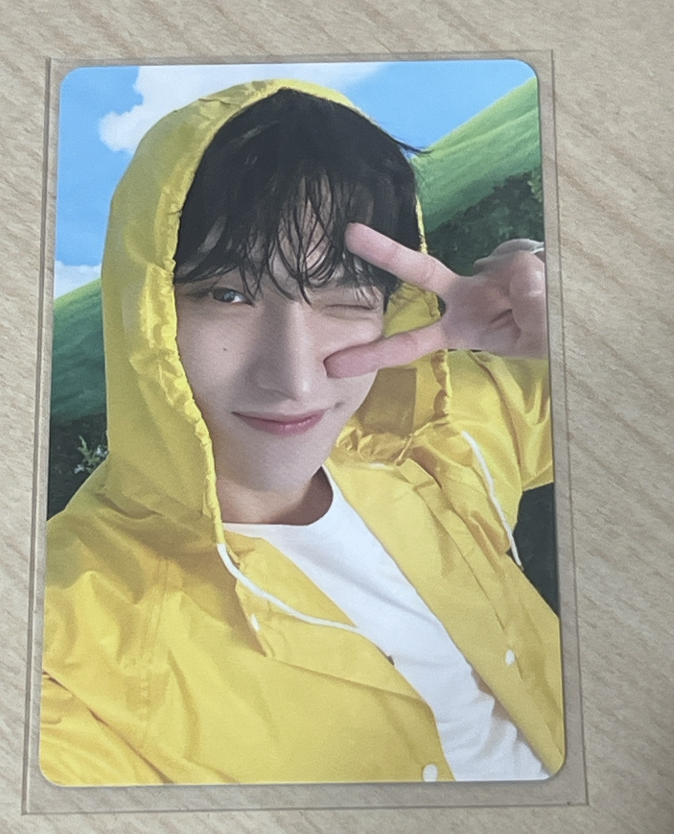 MINI11 專輯卡 ｜CARAT ver.