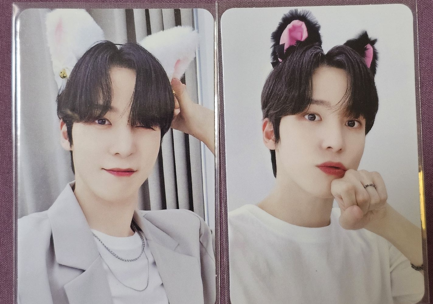 潤浩｜黑貓白貓都是好貓