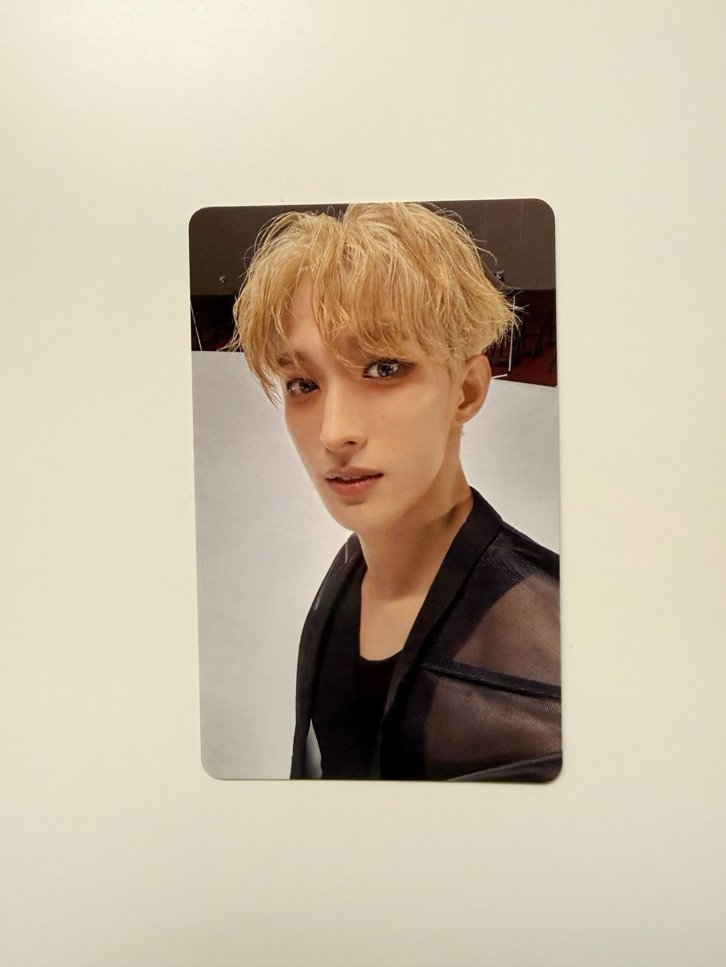 精選專｜wvs神奈川場限 碩珉DK