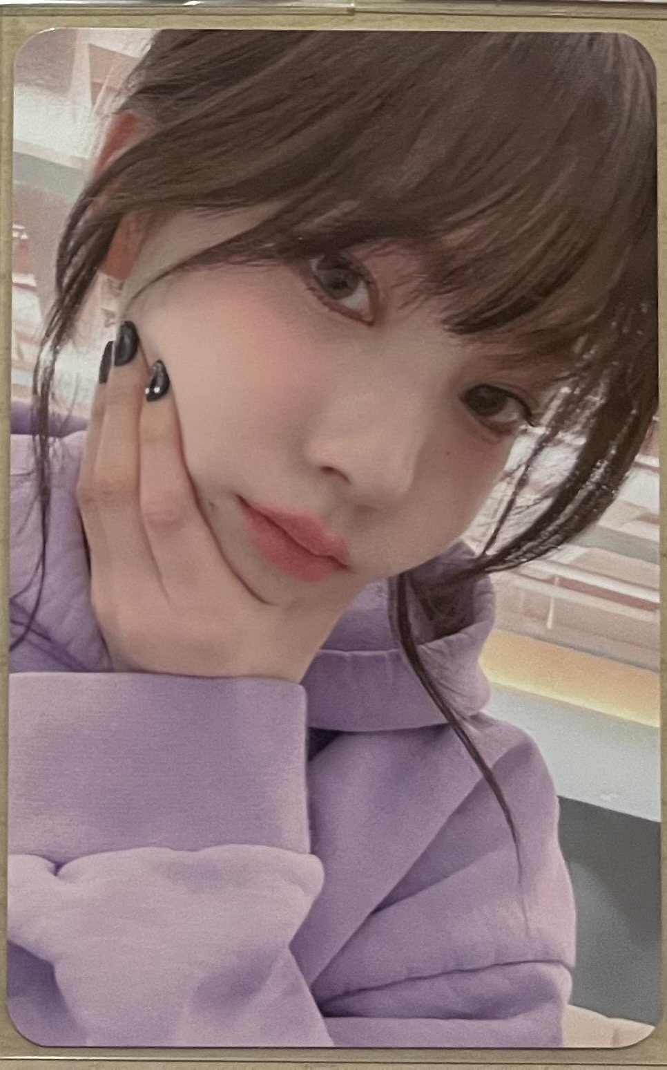 Drama ia 簽售柚 紫葡萄柚