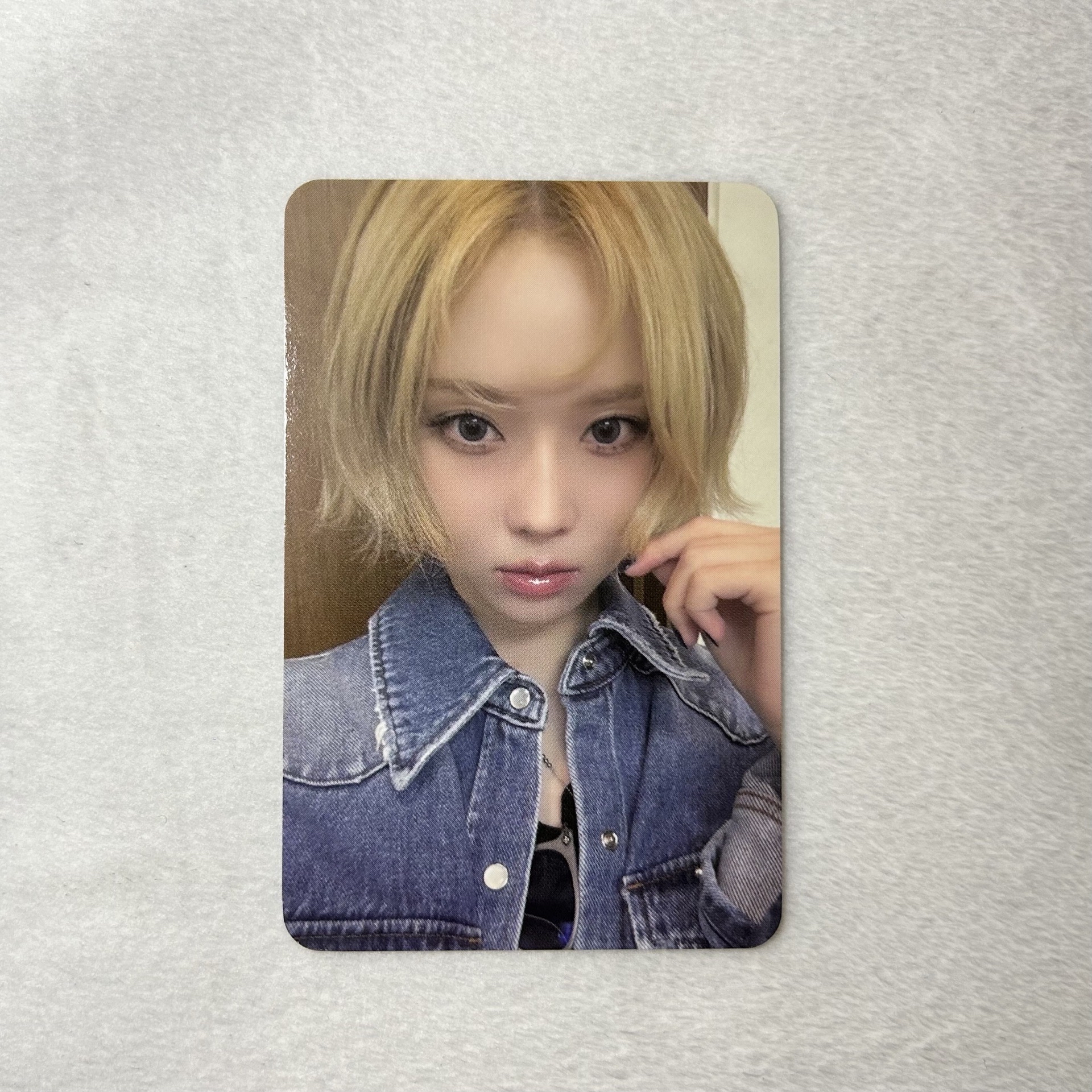 Whiplash K4簽售冬