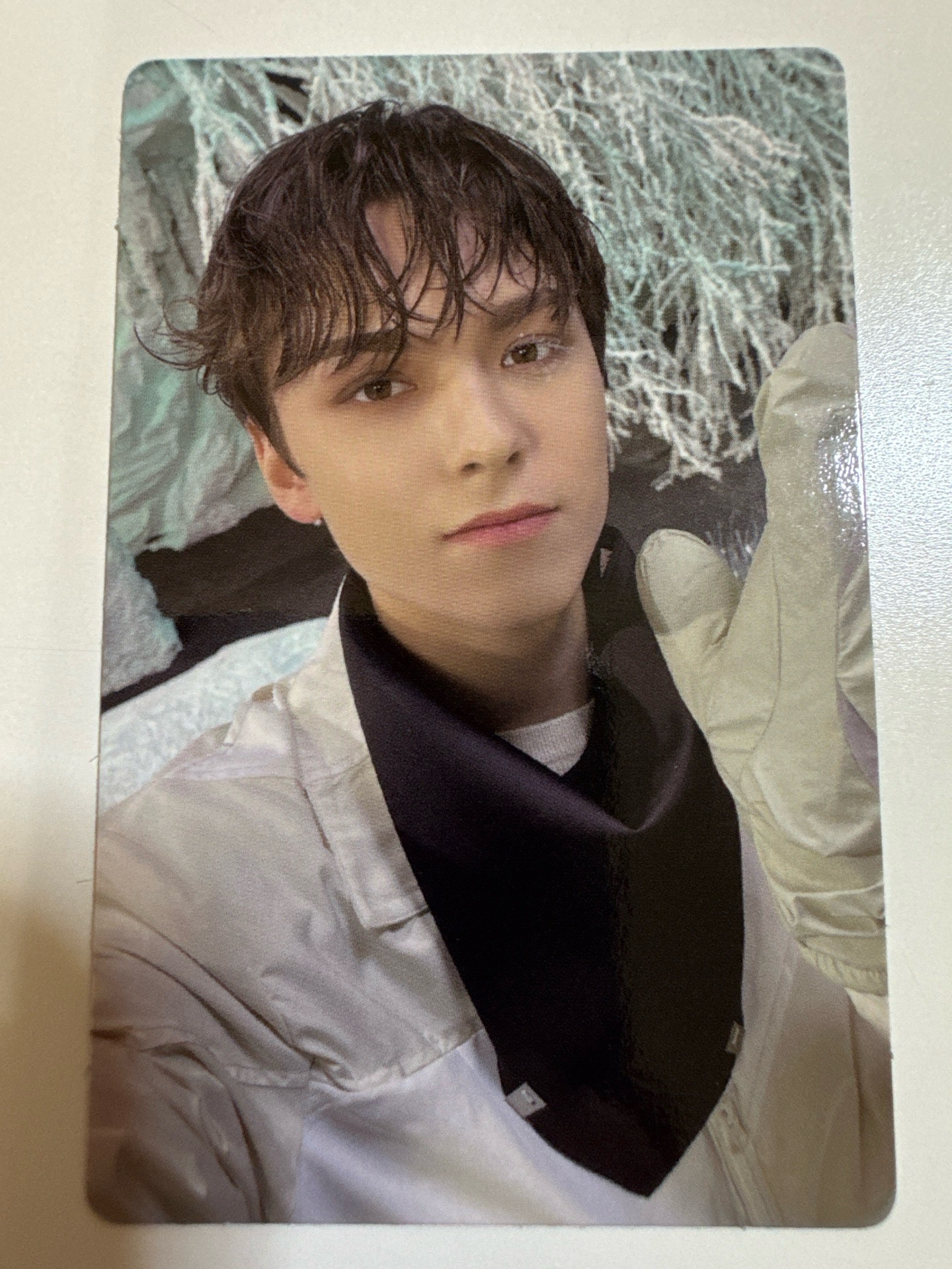 正四後續｜率｜專卡 Compact ver