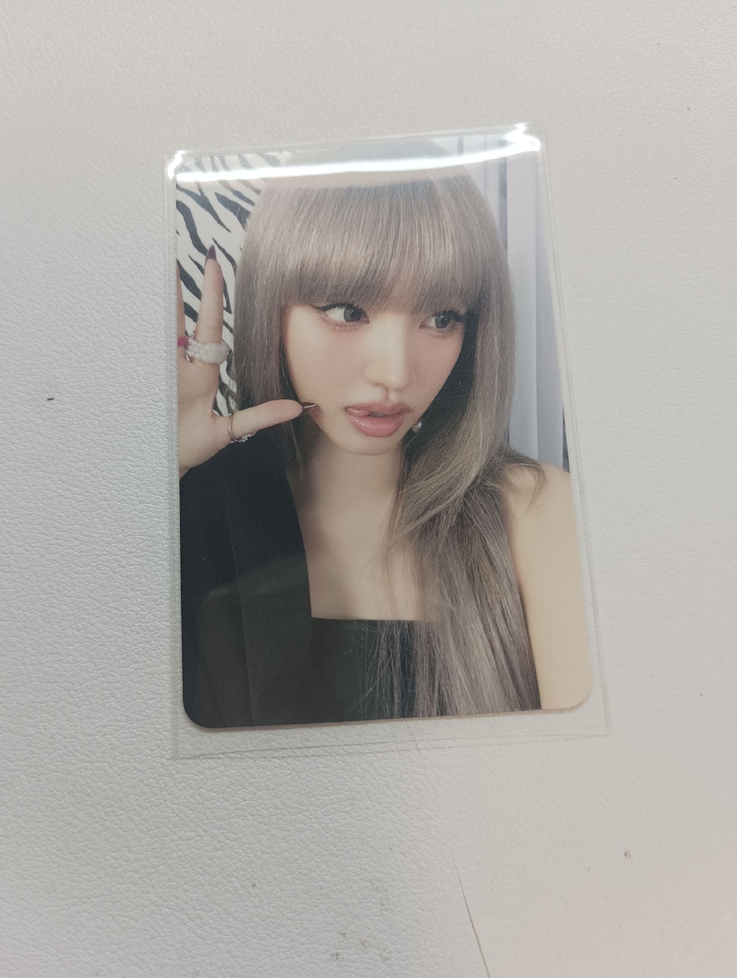 美網栗