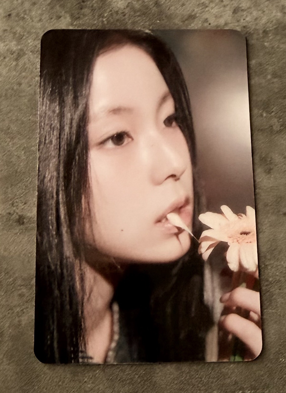 am 預售 特典卡 圭珍