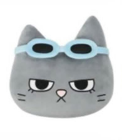 BOYNEXTDOOR BBNEXDO 抱枕 HAN TATPUNG