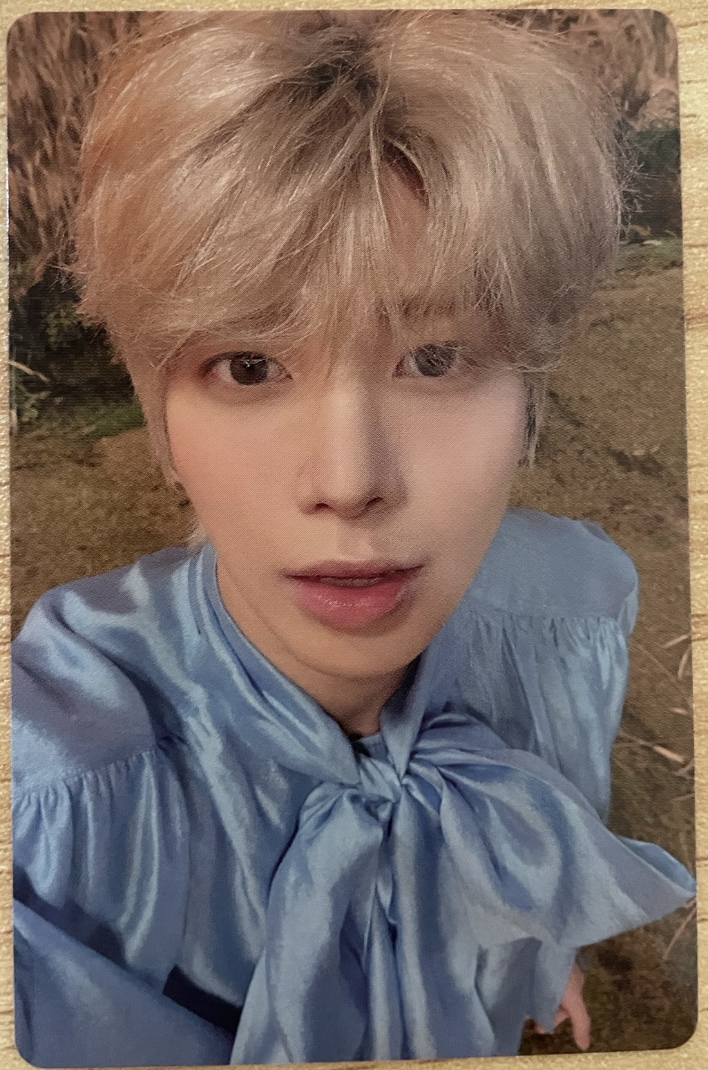 太顯 - 迷六 專輯卡 單封 Light版