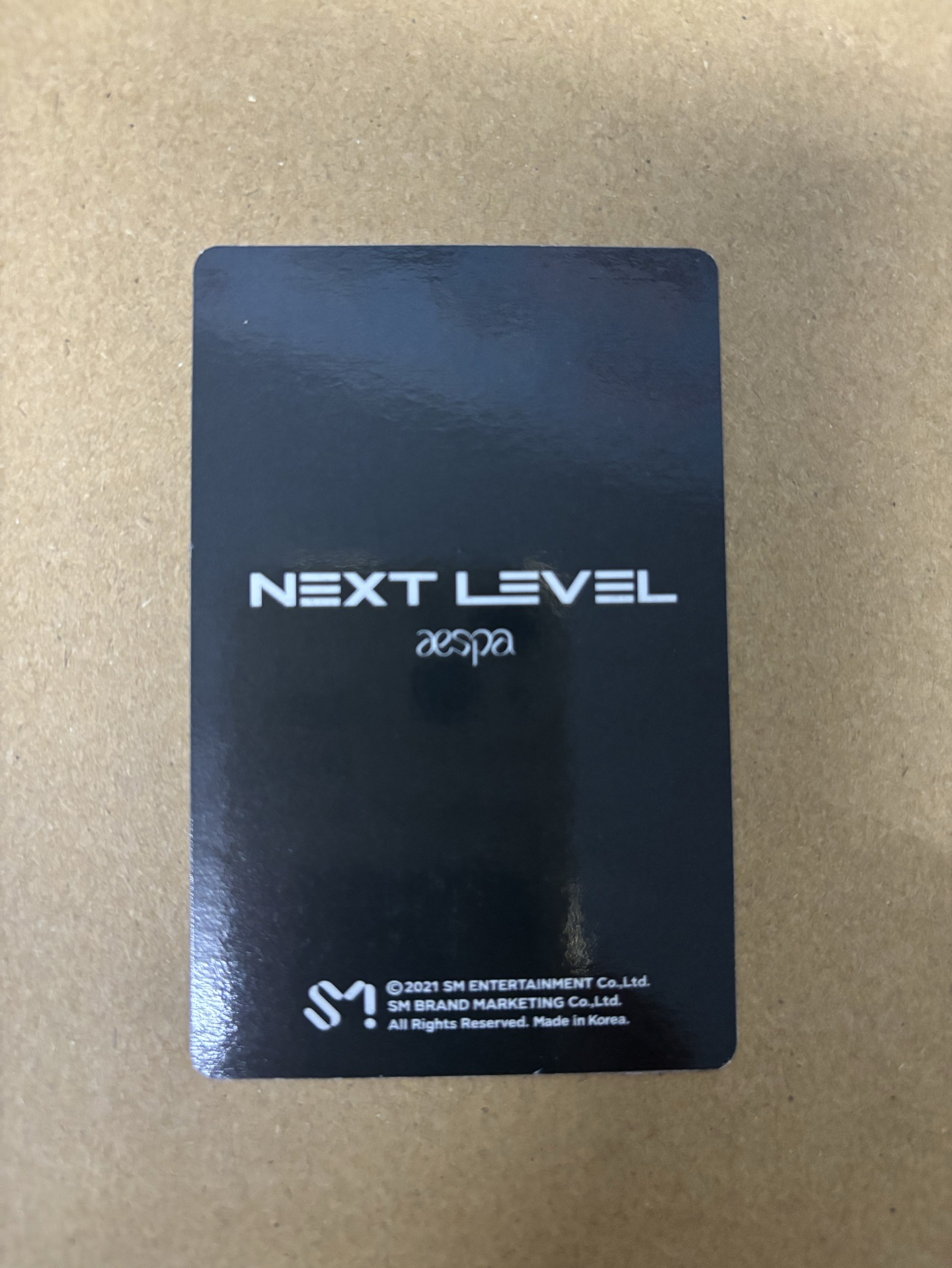 Next Level 周邊卡 冰箱貼柚
