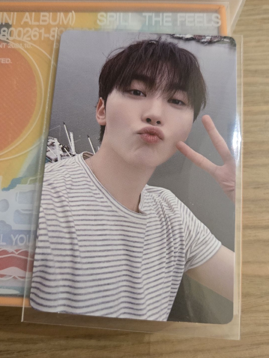 全專🪩迷12 Minil2 Kit 橘版+白版 Hoshi Seungkwan Dino 權順榮 權純永 夫勝寛 李燦