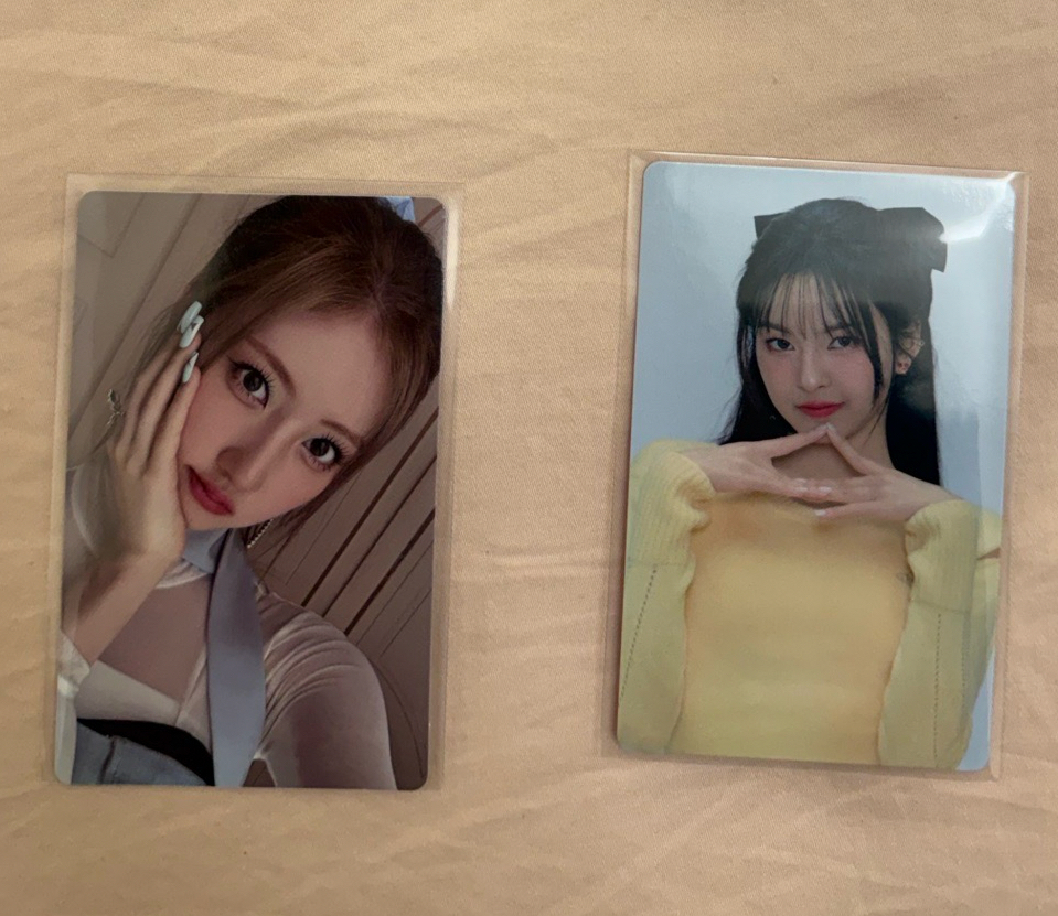 Wvs週年寫真藍 世巡隨機柒