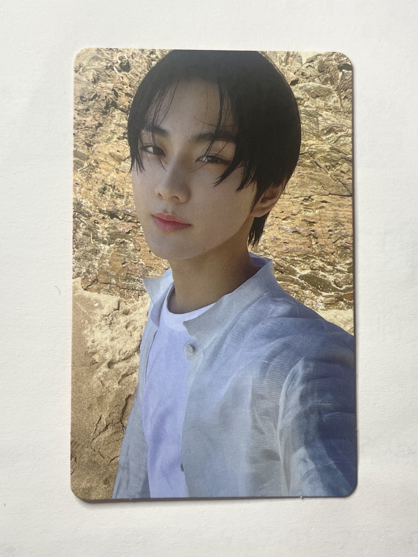 ENHYPEN 梁禎元 正規一專卡