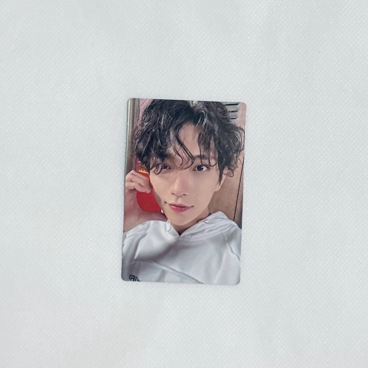 SEVENTEEN MINI10 專卡｜知秀🦌