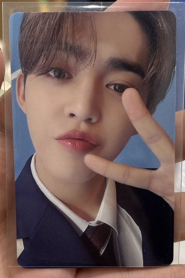 SVT dream 名古屋場限