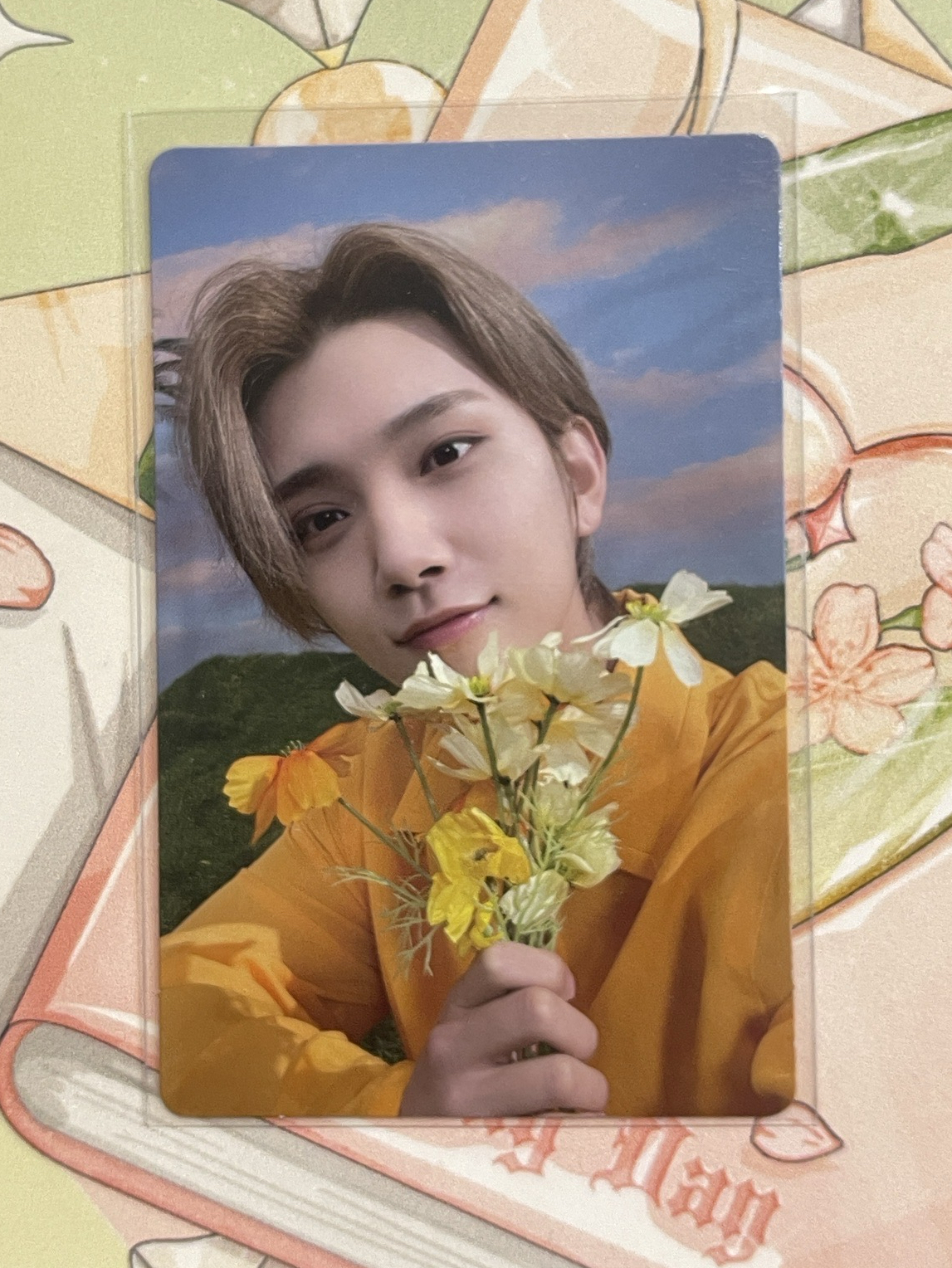 知秀 正四後續專卡