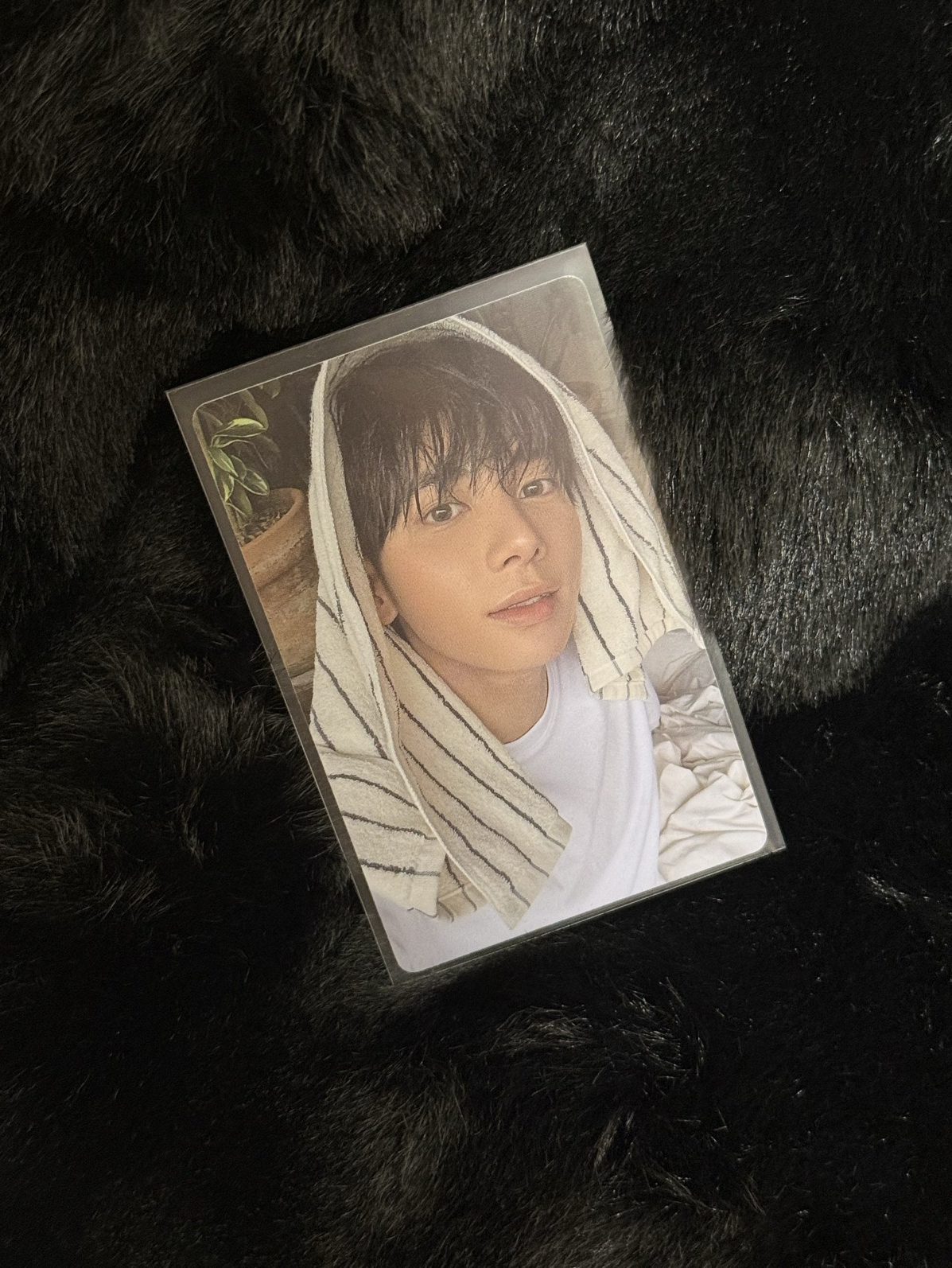 迷七 ANGEL ver. 單封卡 太顯