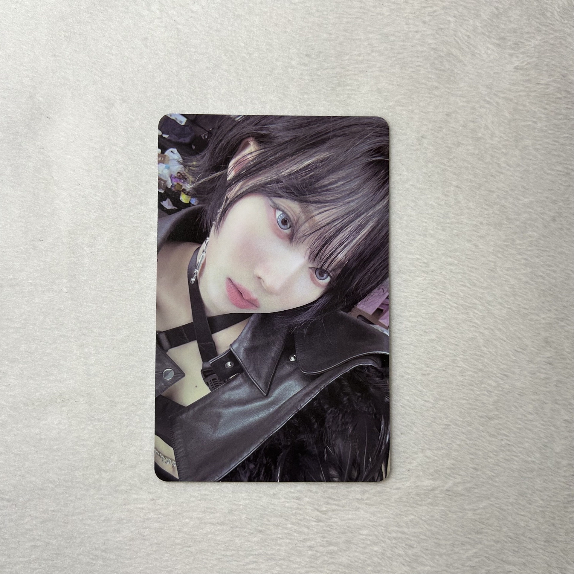 Whiplash KMS預售V1冬