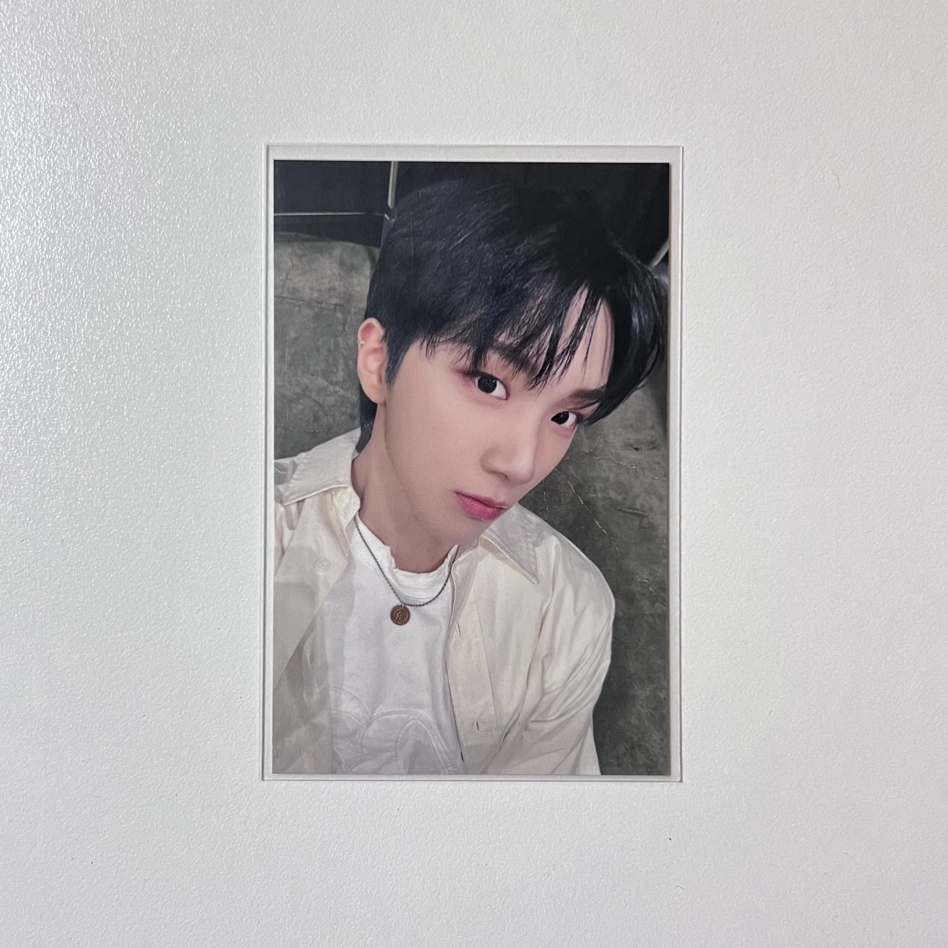 🐻雲鶴 19.99 塔店抽選