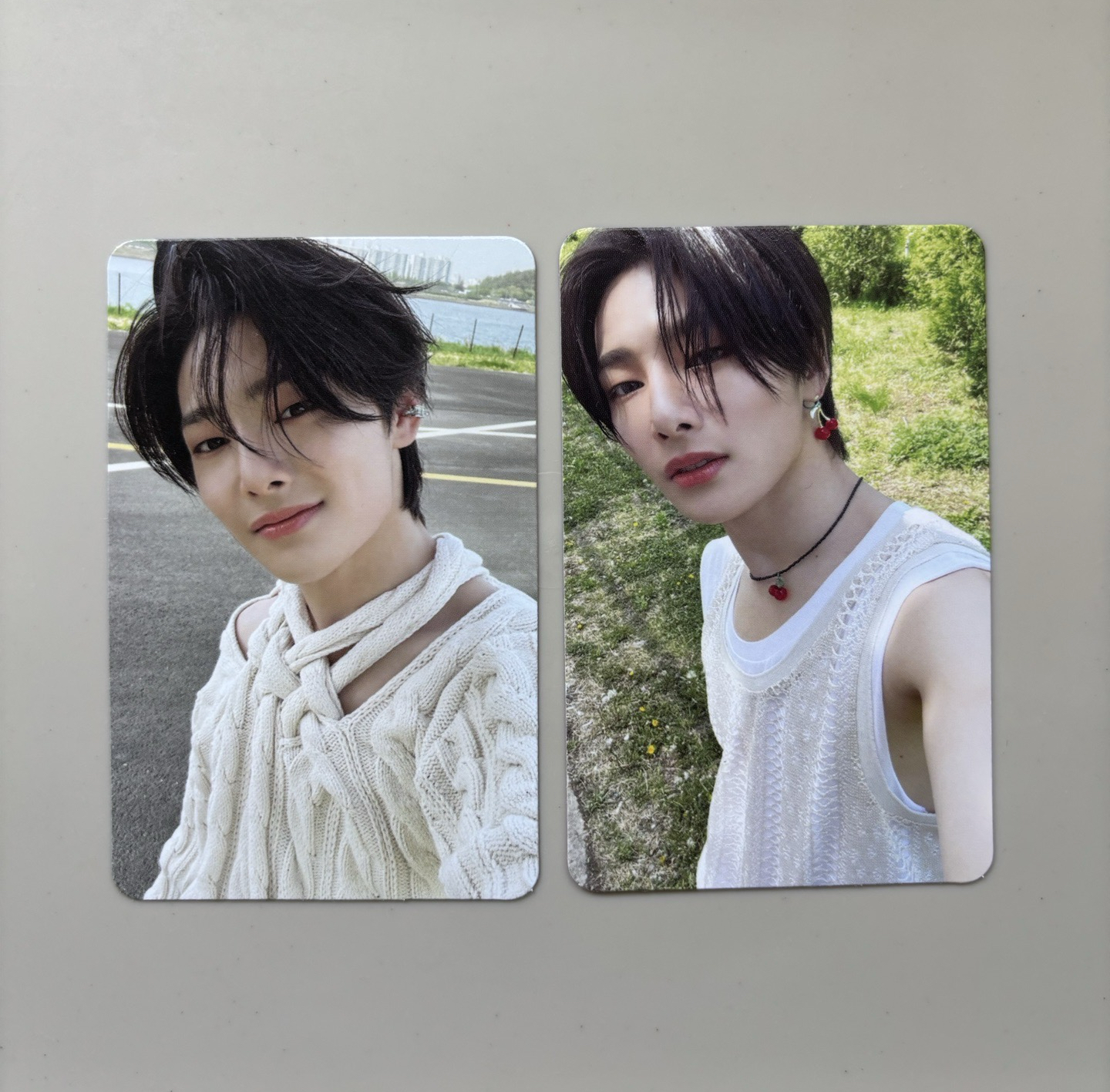 🍞MAXIDENT 專卡-1（右）