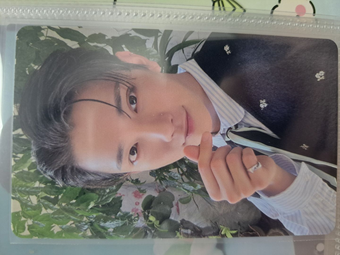 知秀大阪場限卡