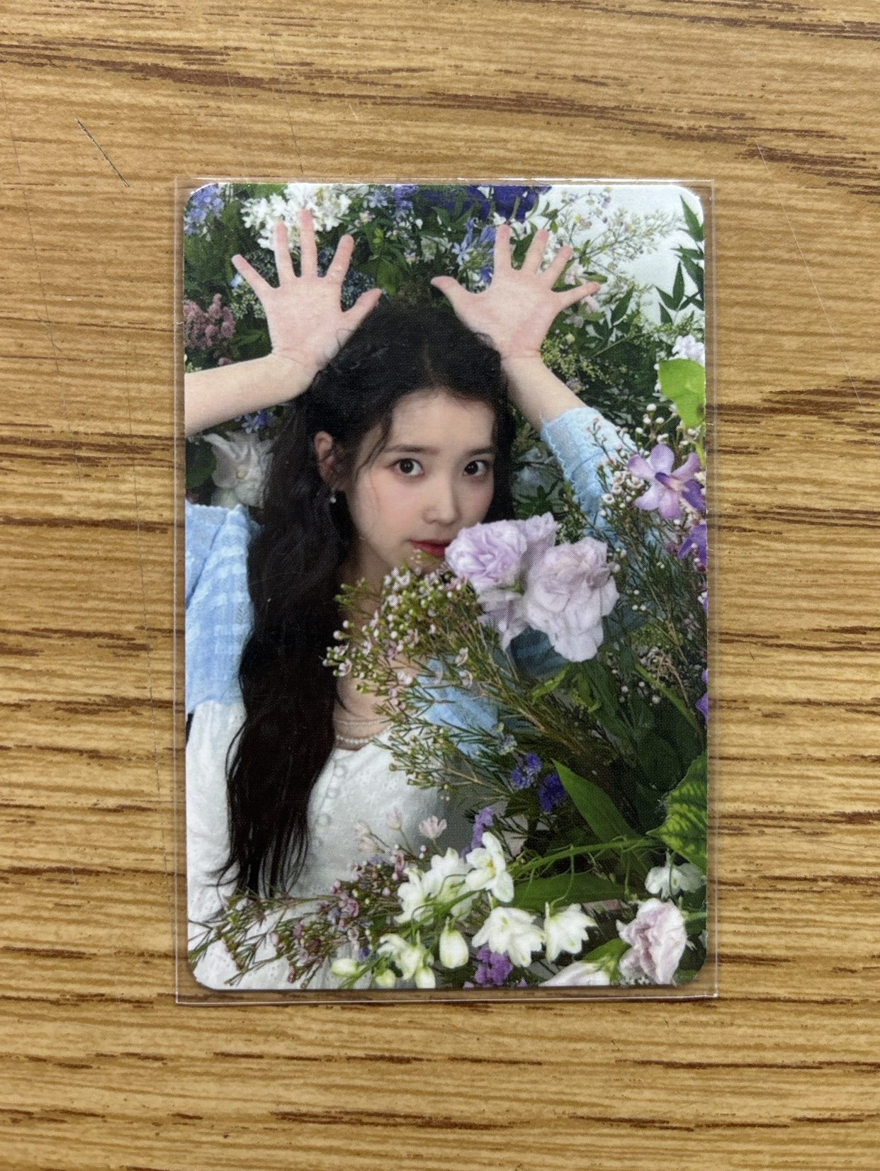 22’ 演唱會 周邊卡 鐵盒卡