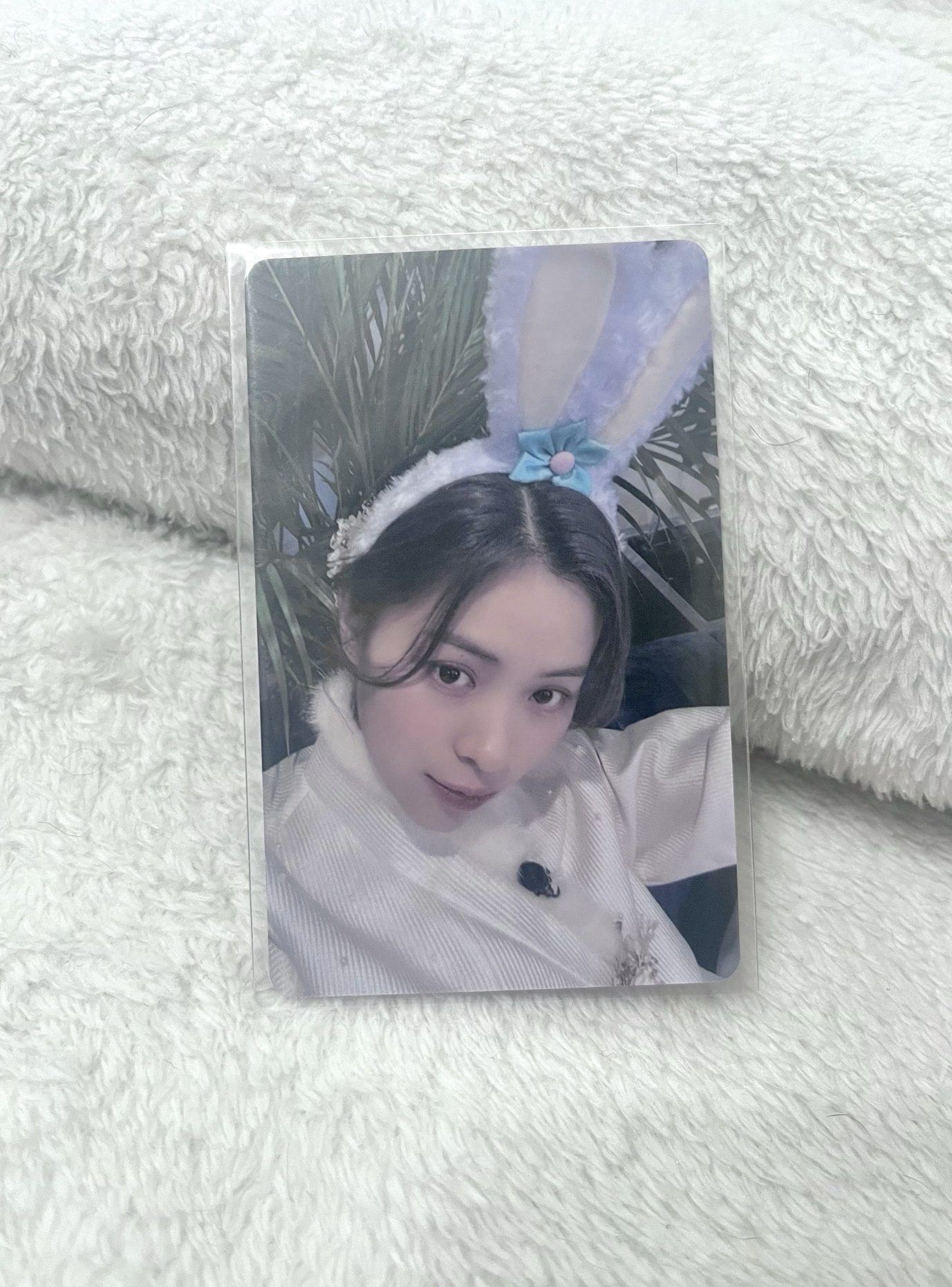 SW5.0 幸運卡 Cheshire 兔年 留真 ITZY