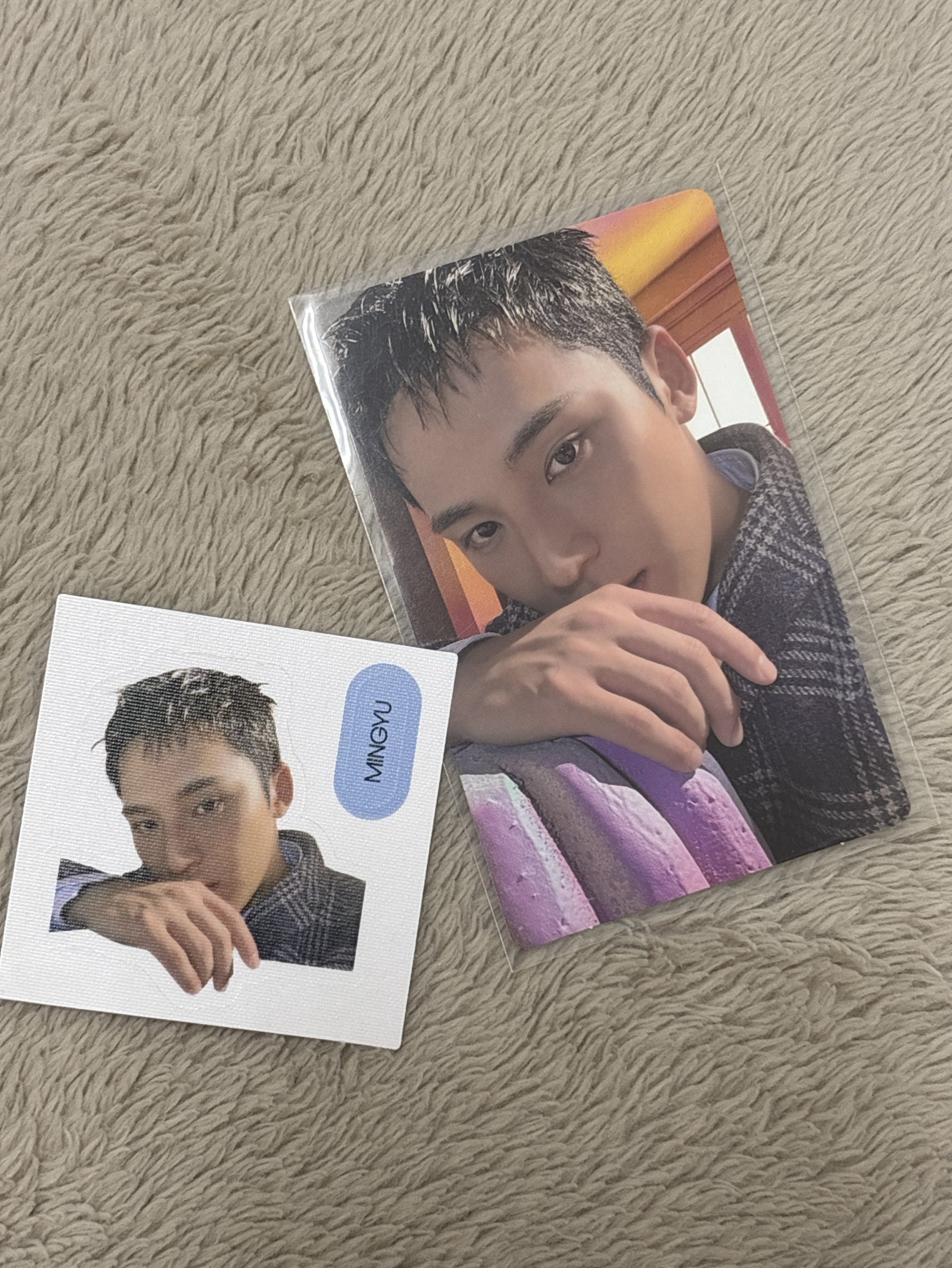 精選專 wvs特典 奎