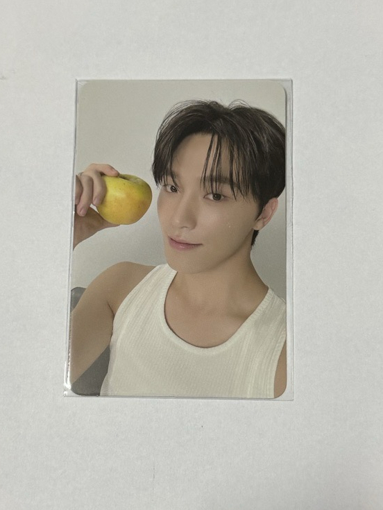 DINO 精選專專輯卡