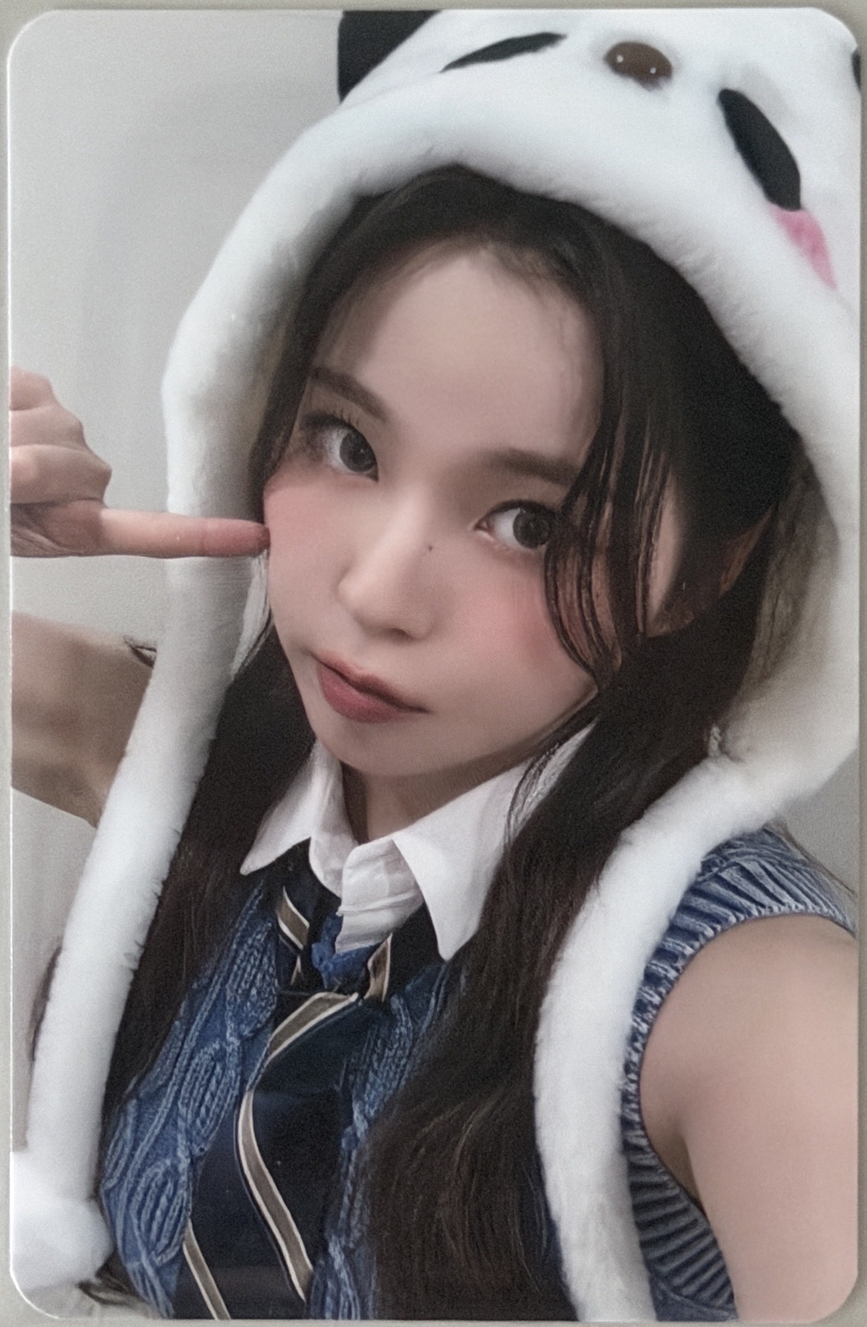 NMIXX KYUJIN MSLD2.0 中文卡背 熊貓圭