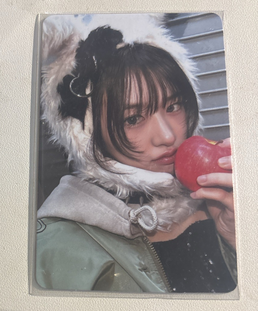 披著兔皮的蘋狗