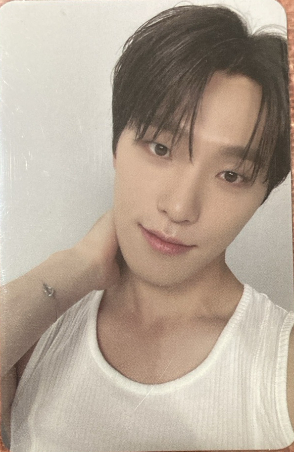 燦 精選專 親愛盤隨機卡✨