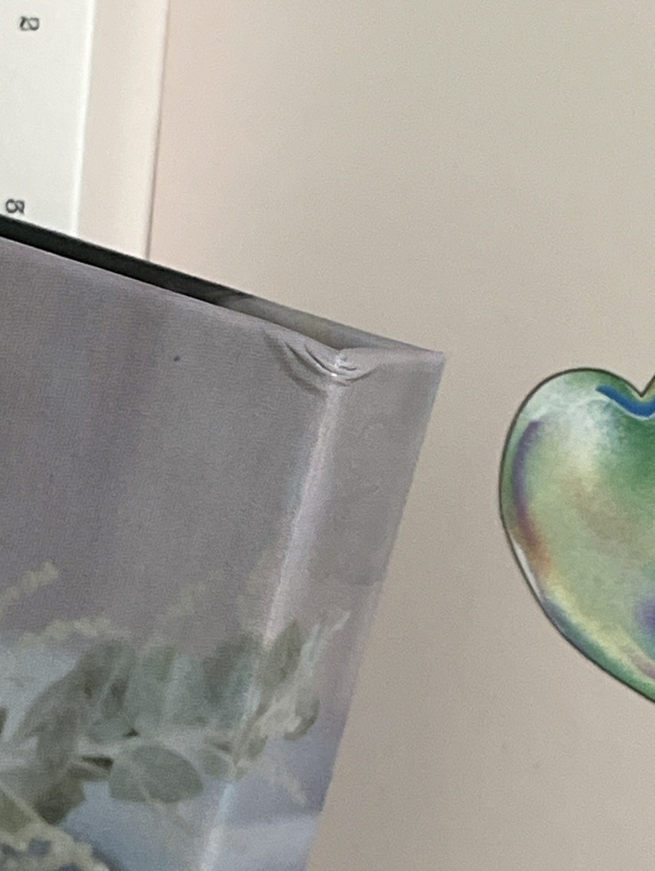 mini10 新郎盤 🐰