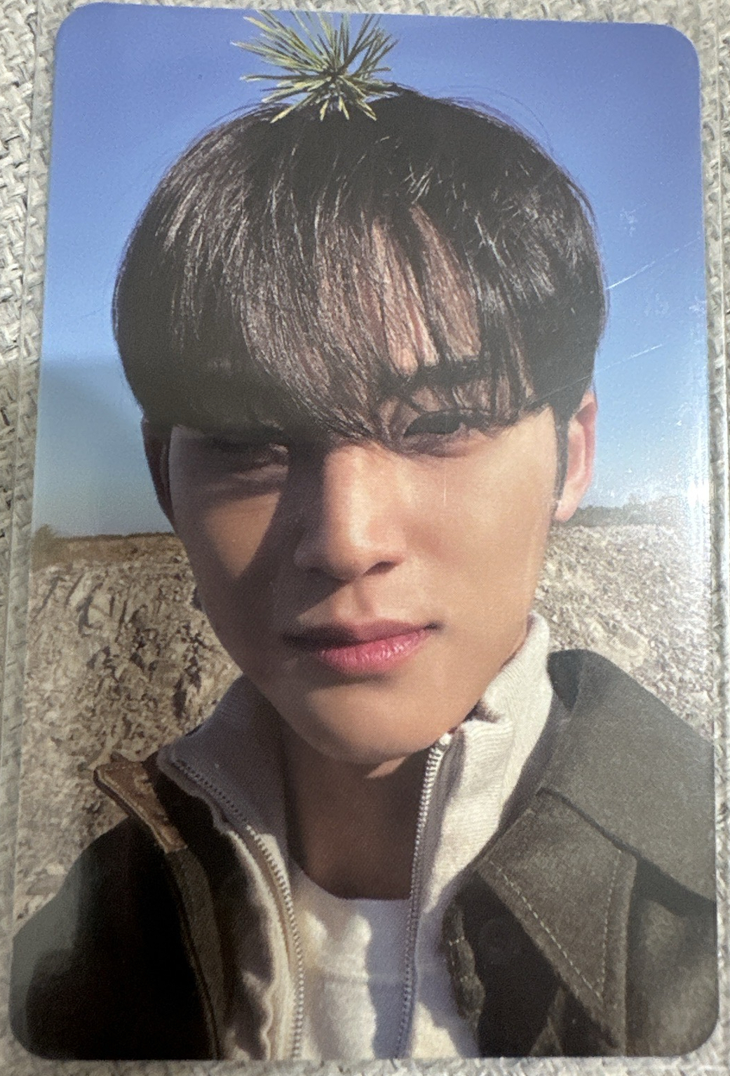 正四專卡 頂草奎