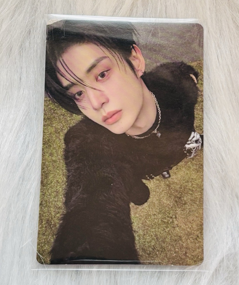 迷五專卡 seek ver. 雄