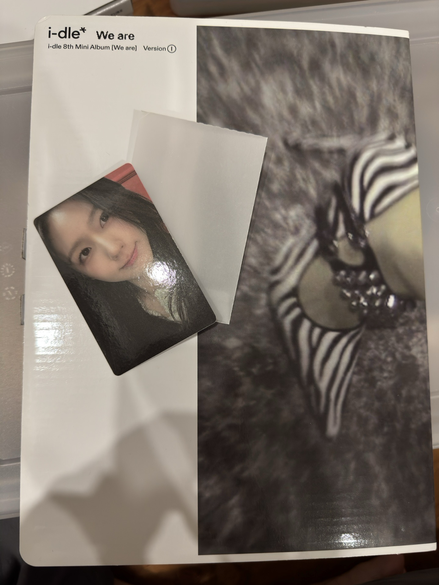 we are 專輯已拆（高根鞋封面）