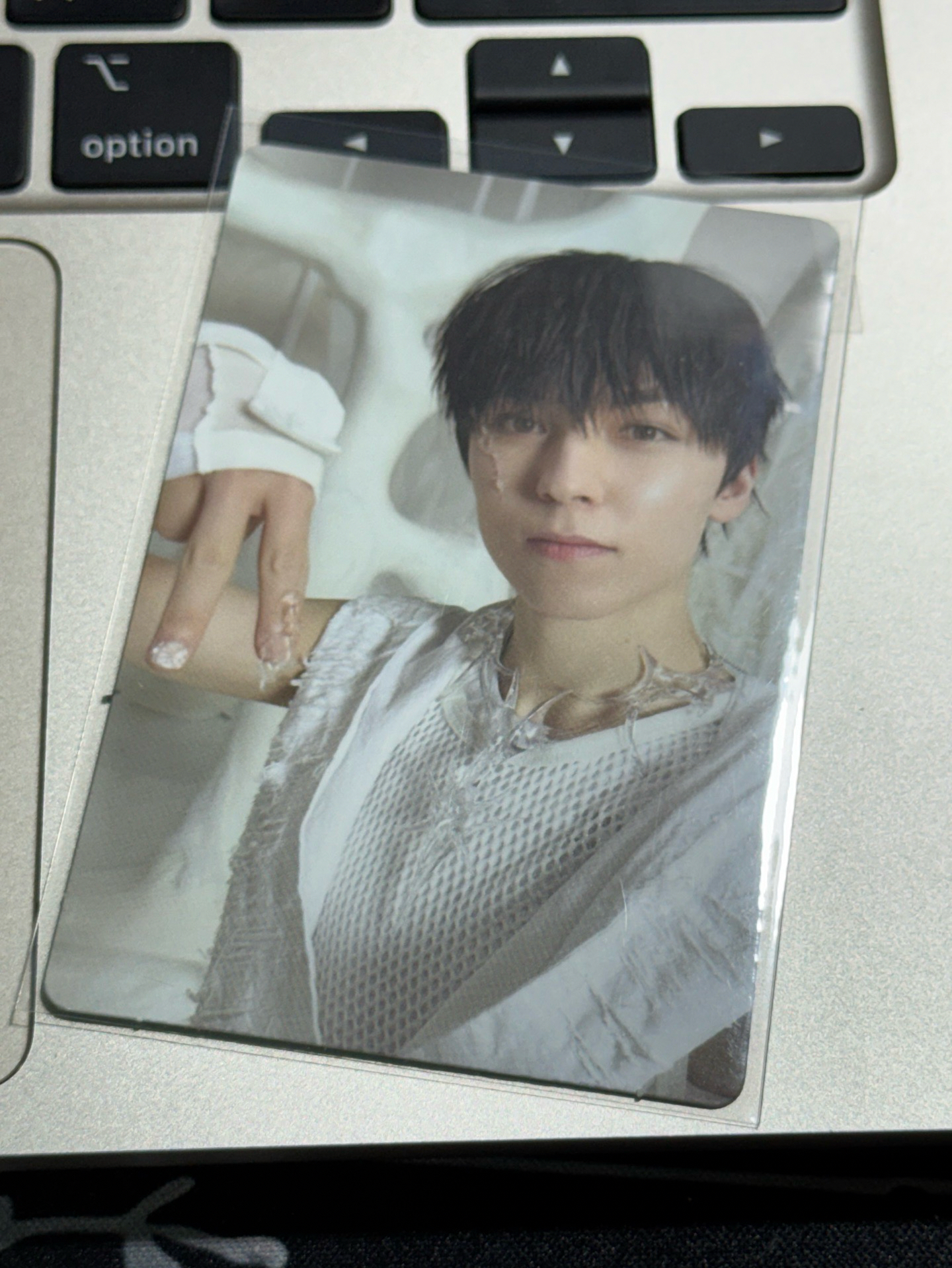 正五🐻‍❄️🐻‍❄️🐻‍❄️