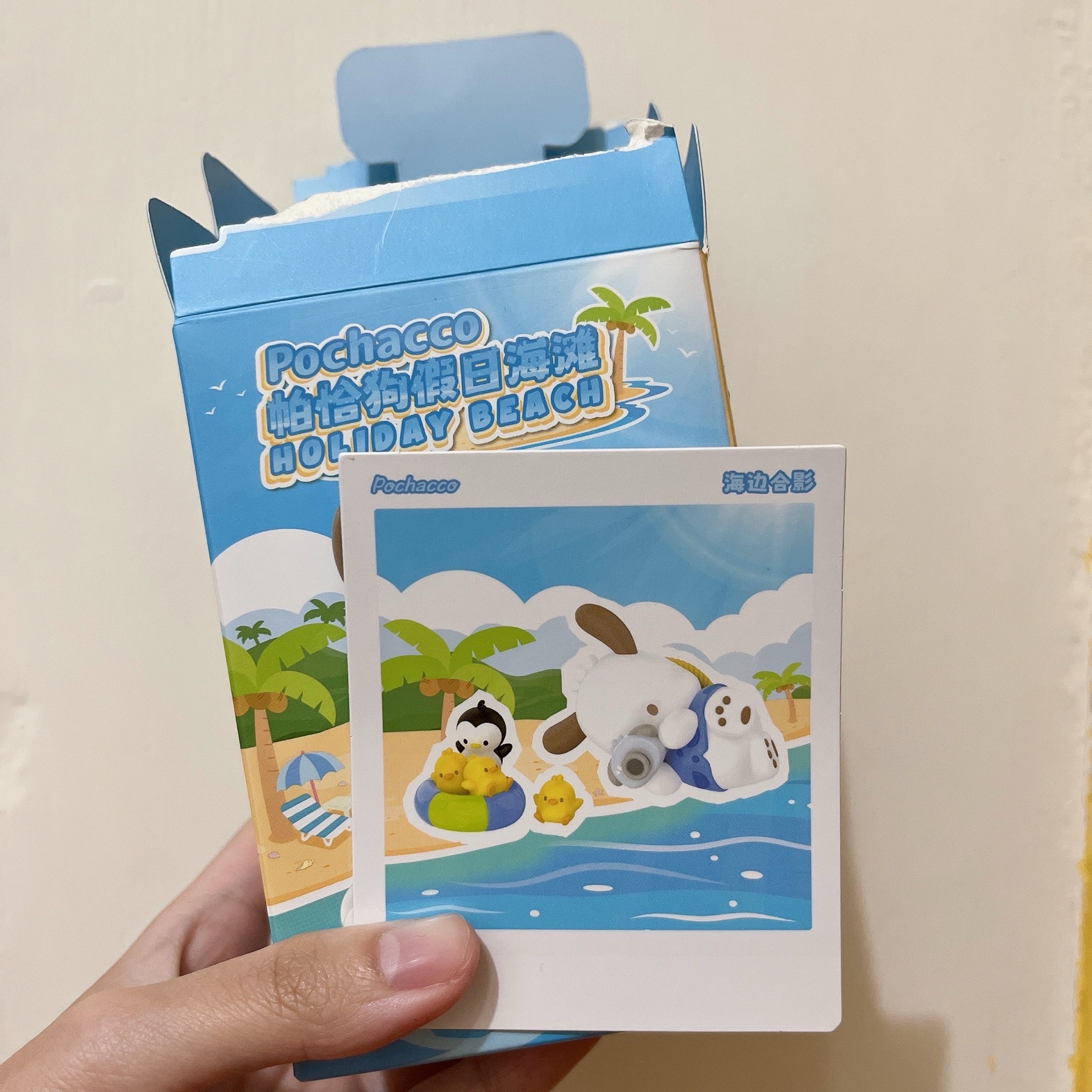 帕恰狗 假日海灘盲盒 海邊合影