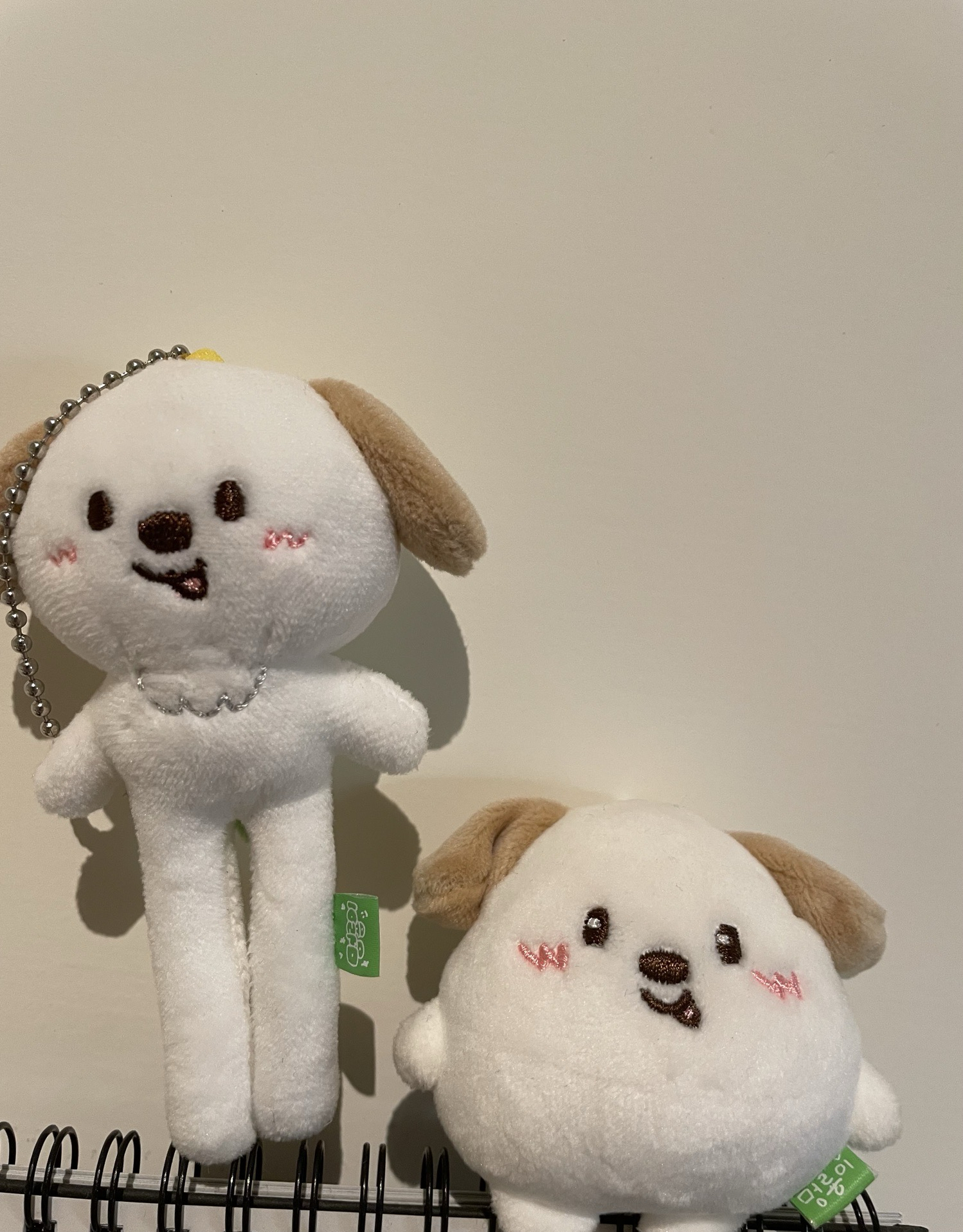 長腿狗龍 wvs娃專 空專