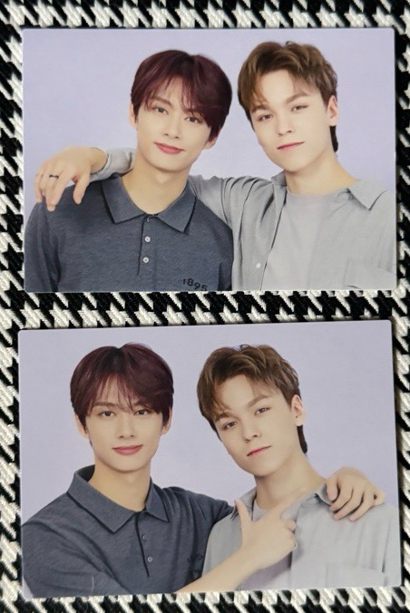 (兩張不拆出）seventeen 2020 日本 蛋巡 崔瀚率 文俊輝 小卡 隨機卡 日周卡包 日巡 雙人卡