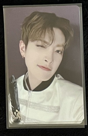 IYF日巡隨機卡包卡-中wink