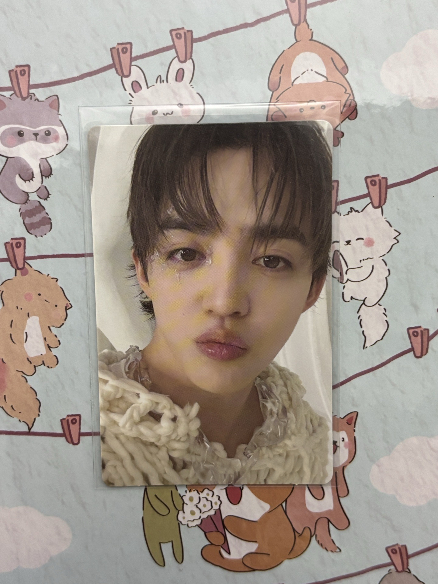 正五 new myself ver.專卡 哲