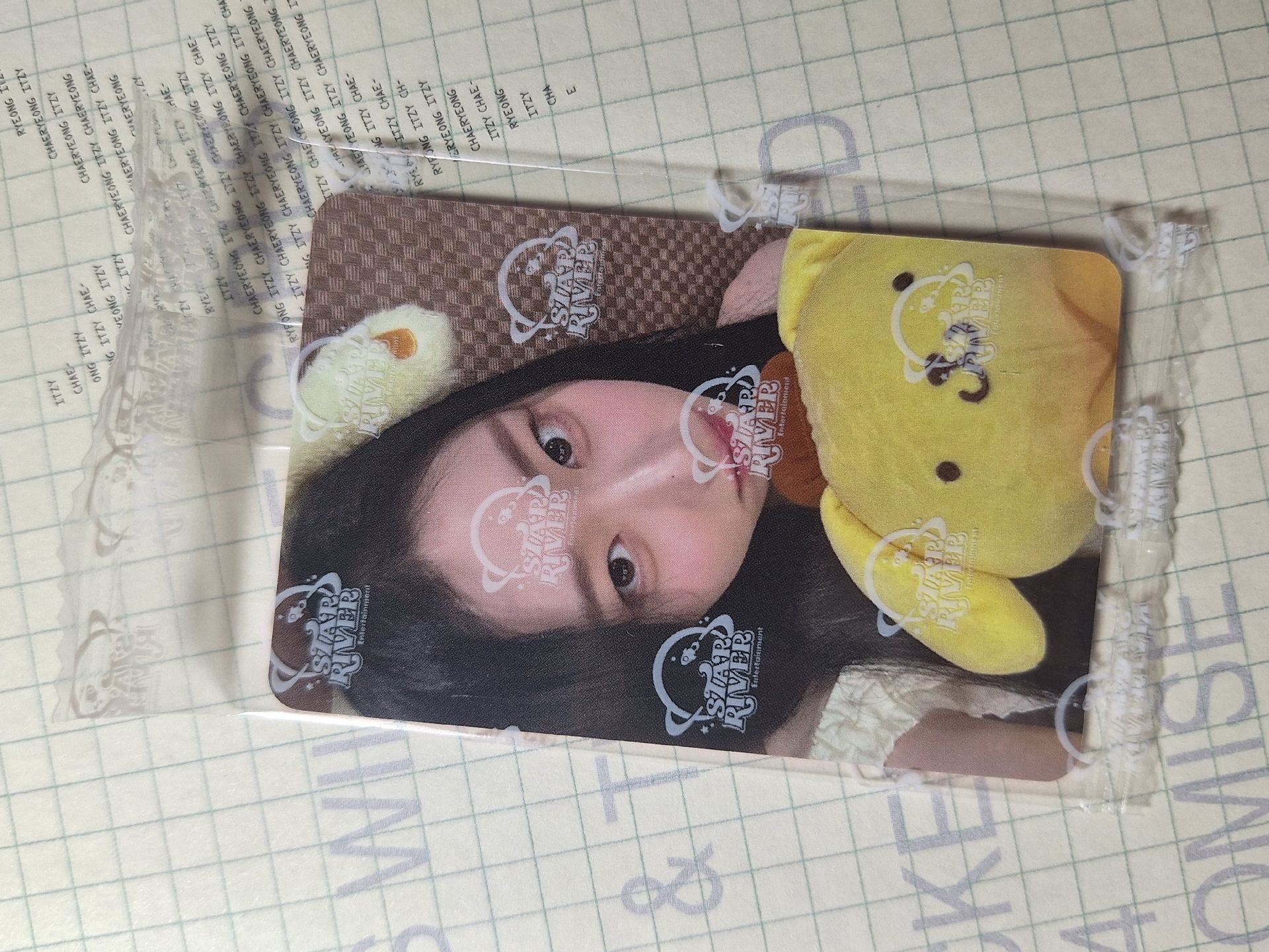布丁狗中背