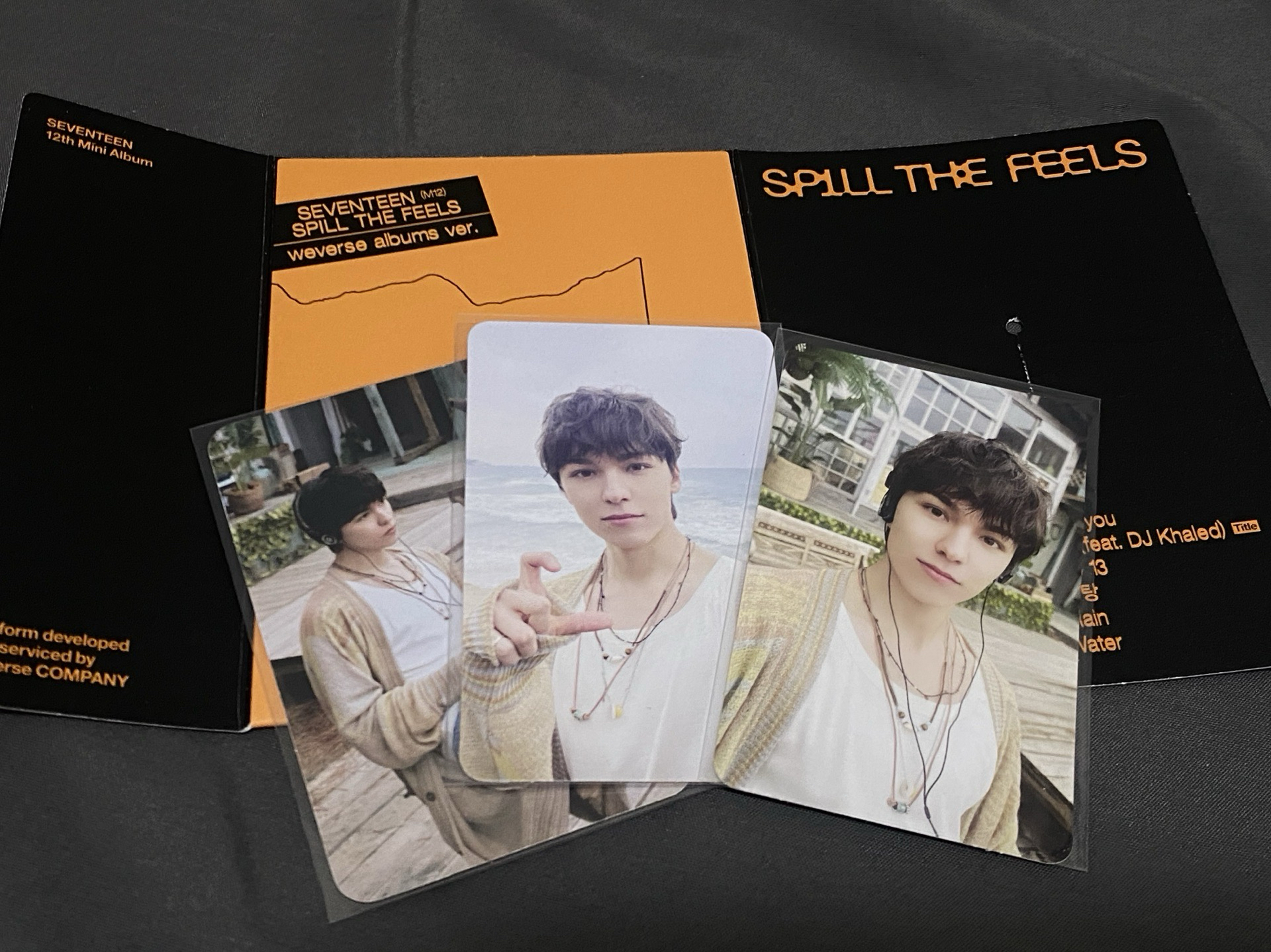 mini12 李燦克拉盤&VERNON WVS專